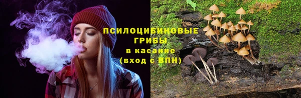 сатива Зерноград