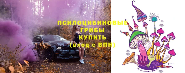 ECSTASY Зеленокумск