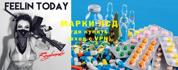сатива Зерноград